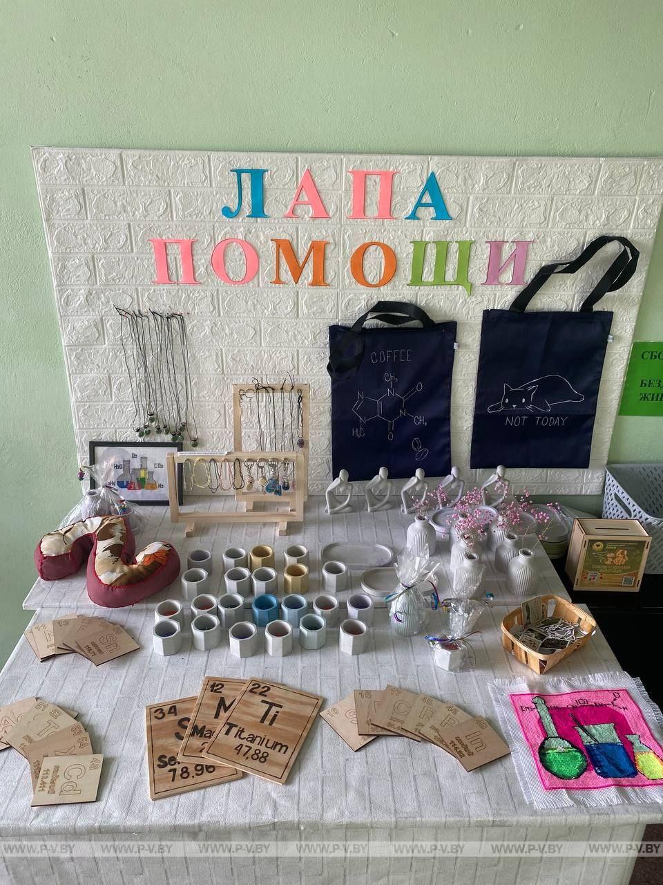 Акция в помощь бездомным животным «Лапа помощи»