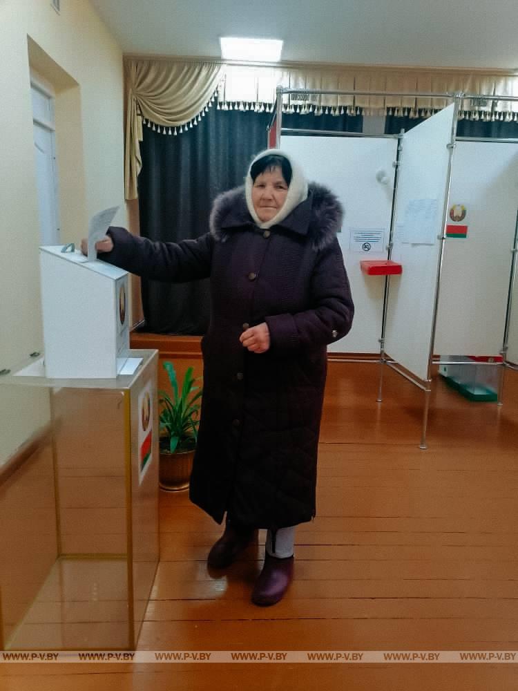 Досрочное голосование в Пинском районе