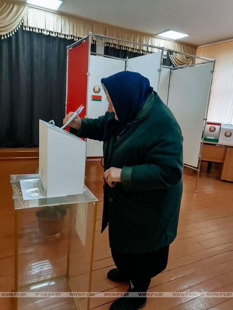 Досрочное голосование в Пинском районе