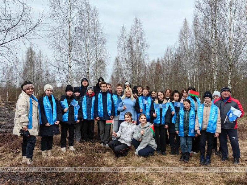 Высадка деревьев в преддверии Дня Конституции Высадка деревьев в преддверии Дня Конституции