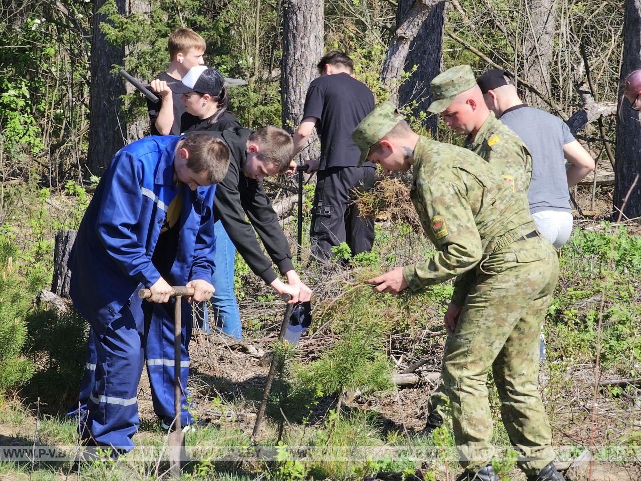 Молодежь г. Пинска и Пинского района единодушно приняли участие в благотворительной акции "Аднавiм лясы разам"