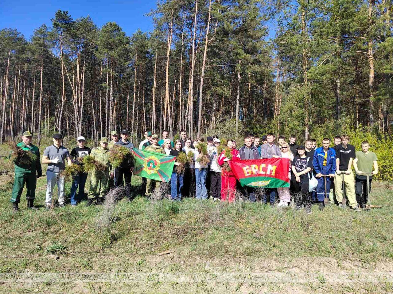 Молодежь г. Пинска и Пинского района единодушно приняли участие в благотворительной акции "Аднавiм лясы разам"