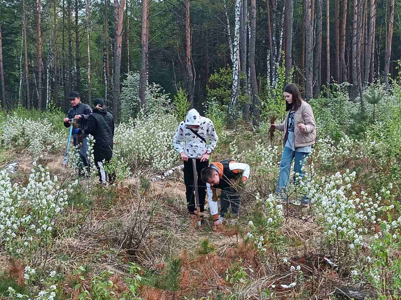Учащиеся 10 класса правовой направленности ГУО "Молотковичская средняя школа" совместно с сотрудниками РОВД приняли участие в акции "Неделя леса"
