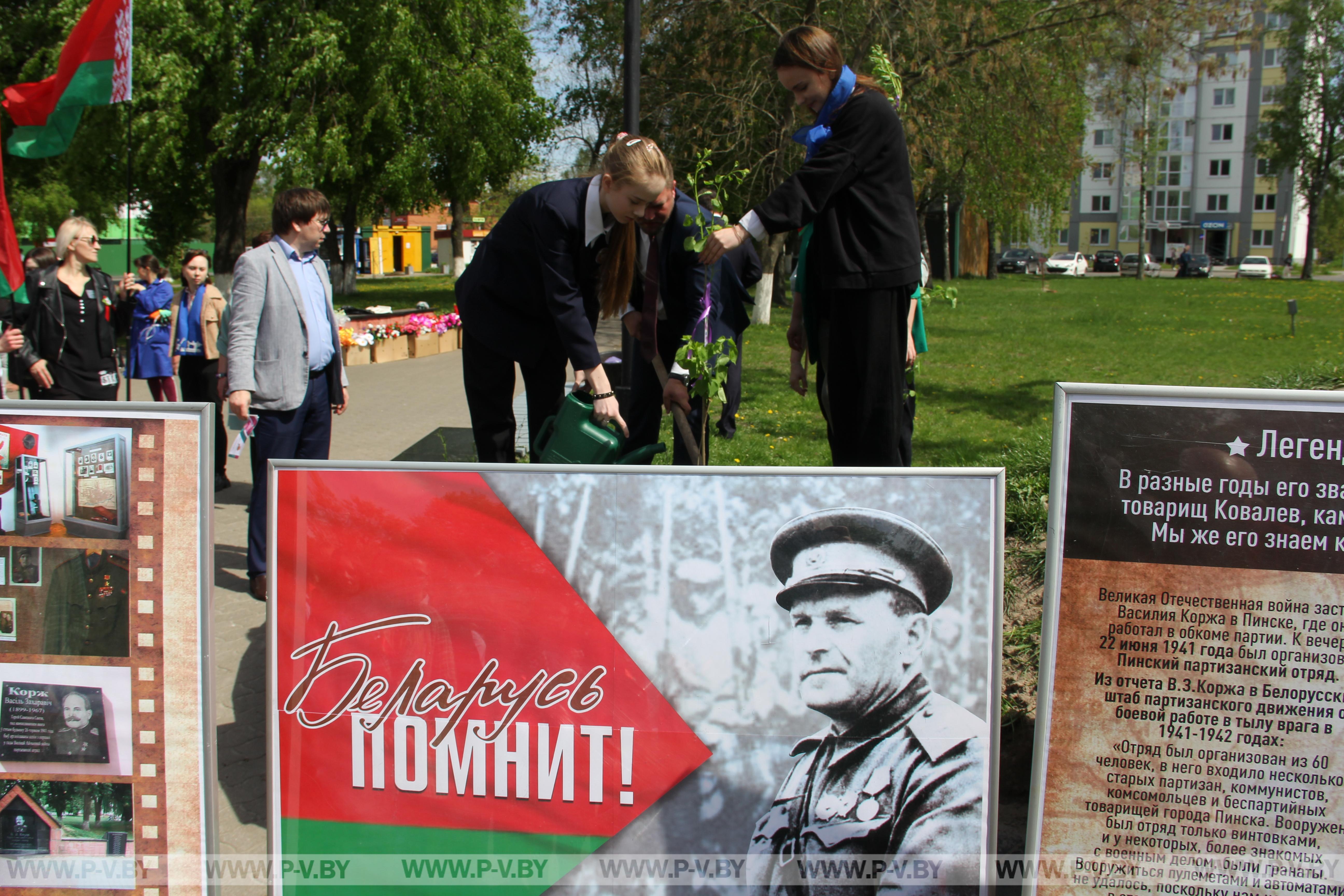 На Поляне партизанской славы высажена «Коржовая» сирень