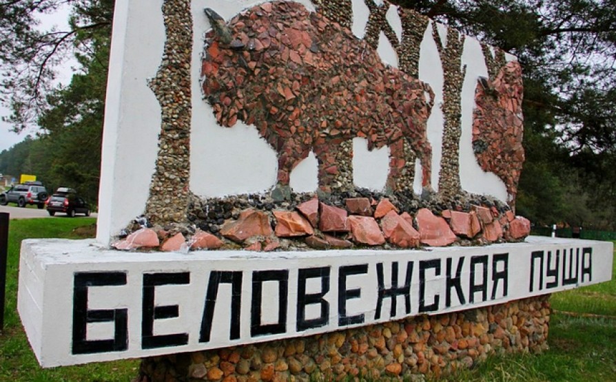 Число посетителей Беловежской пущи за год выросло на 34 процента