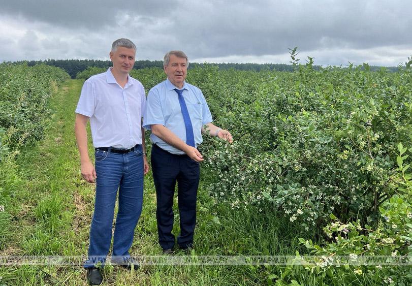 Пинский район посетила делегация города-партнера Коломны Пинский район посетила делегация города-партнера Коломны