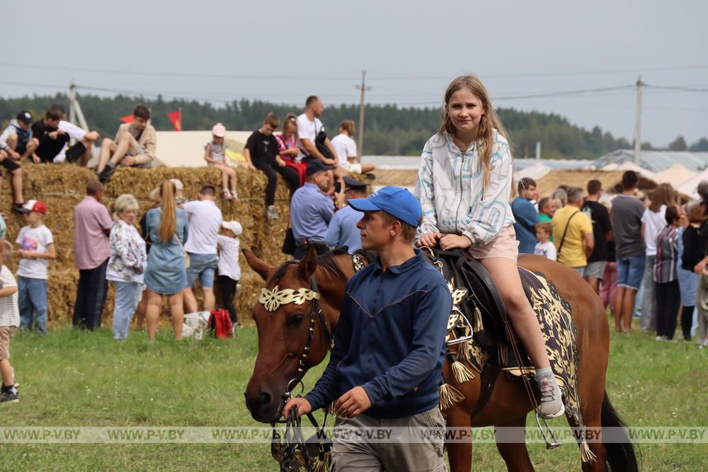 Ловили карпов руками, прыгали в пену – «Полесский вьюн» удивлял развлечениями на любой возраст и вкус Ловили карпов руками, прыгали в пену – «Полесский вьюн» удивлял развлечениями на любой возраст и вкус