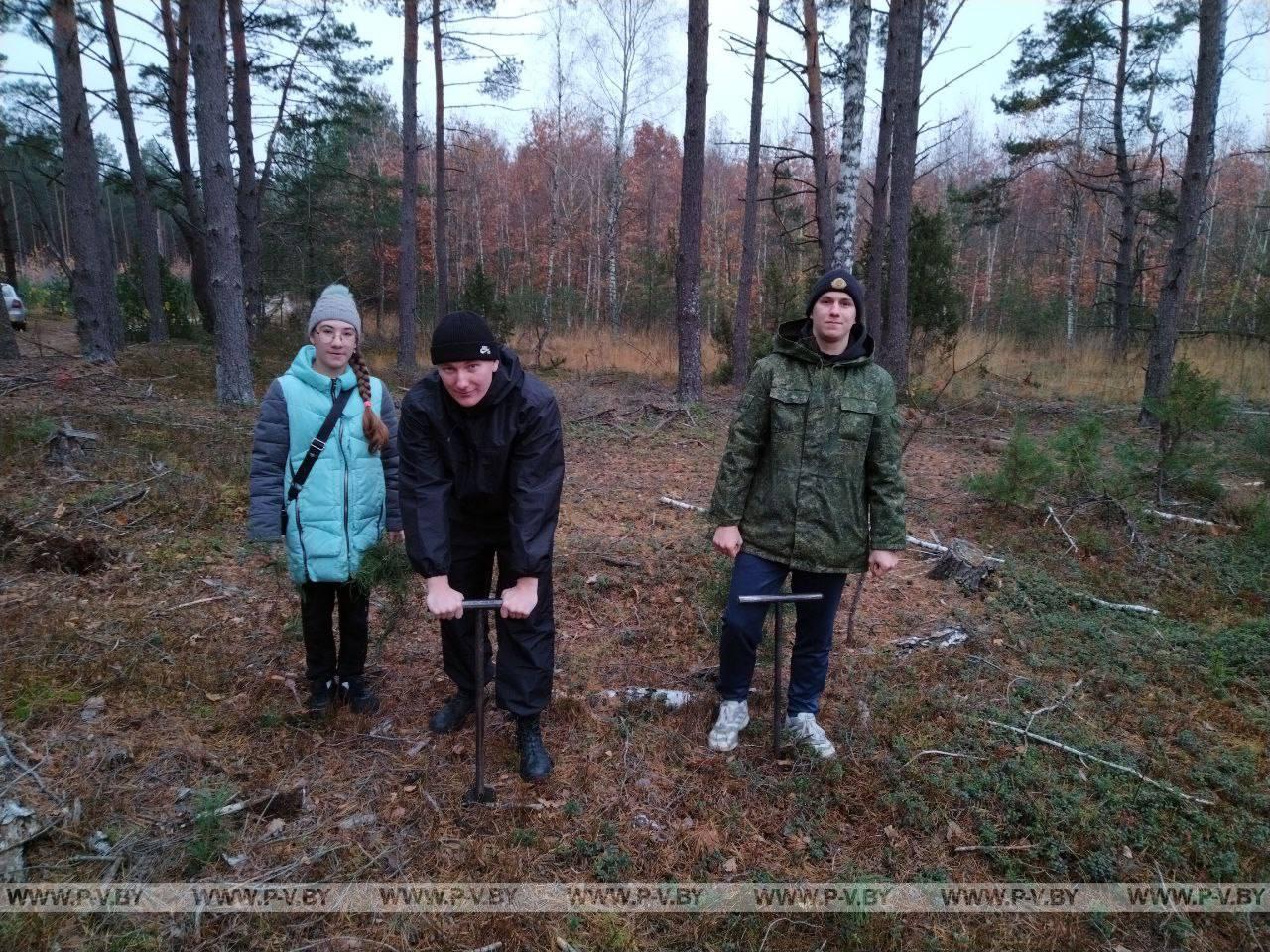 Сотрудники Пинского РОВД и ученики Молотковичской СШ восстанавливают лес