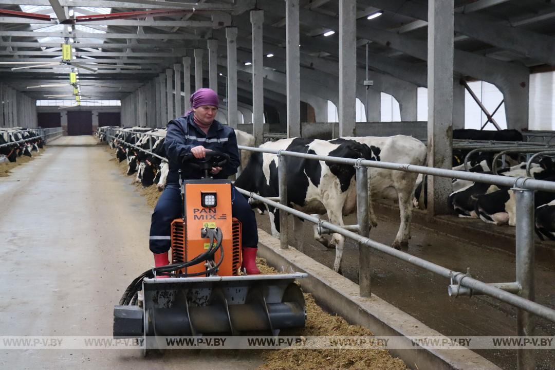 В Пинском районе открыли новый молочно-товарный комплекс ООО «Стисхо-Пинское»