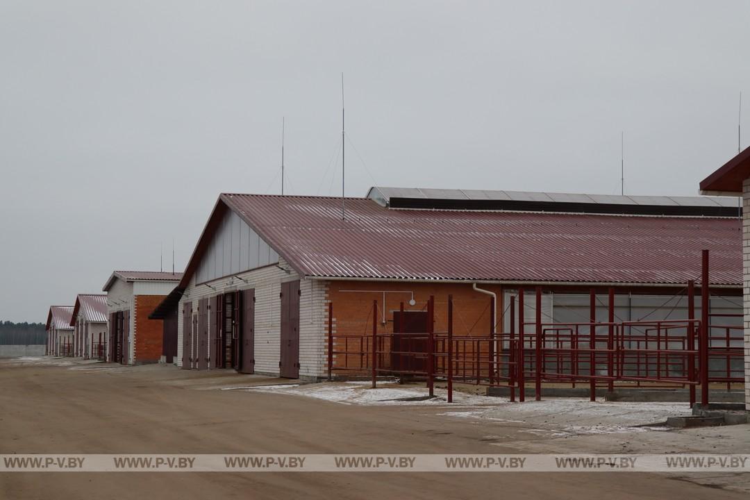 В Пинском районе открыли новый молочно-товарный комплекс ООО «Стисхо-Пинское»