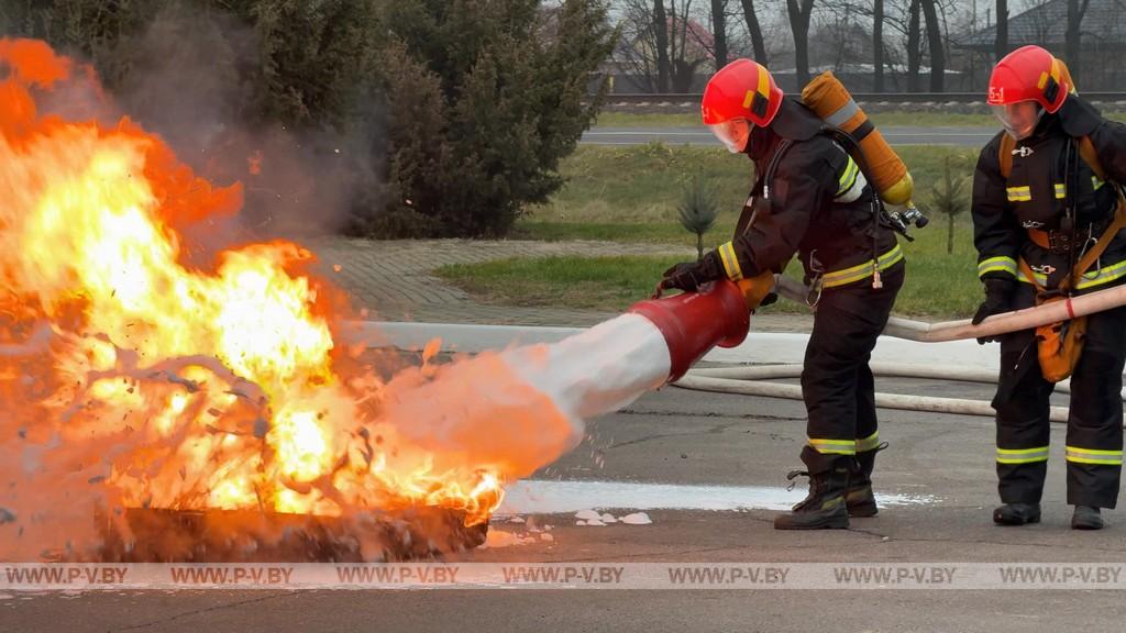 В деревне Почапово состоялся важный сельский сход граждан