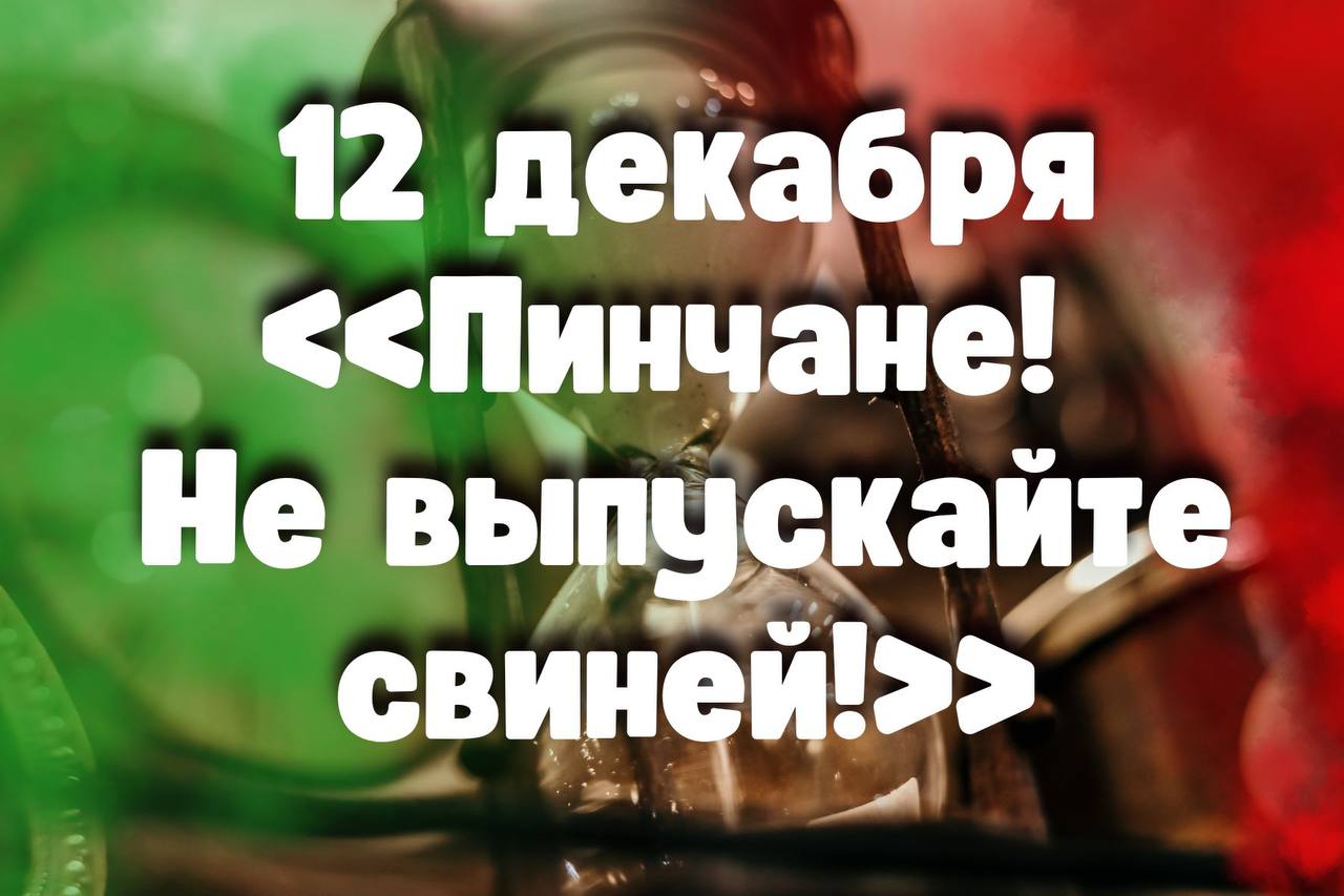 12 декабря: «Пинчане! Не выпускайте свиней!»