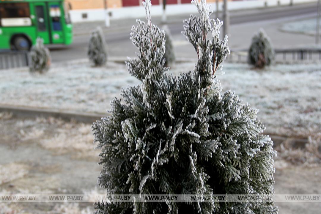 Иней в городе П.