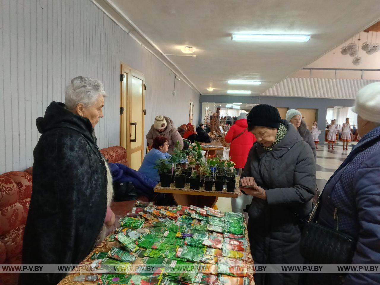 Праздник «Семена – основа урожая»