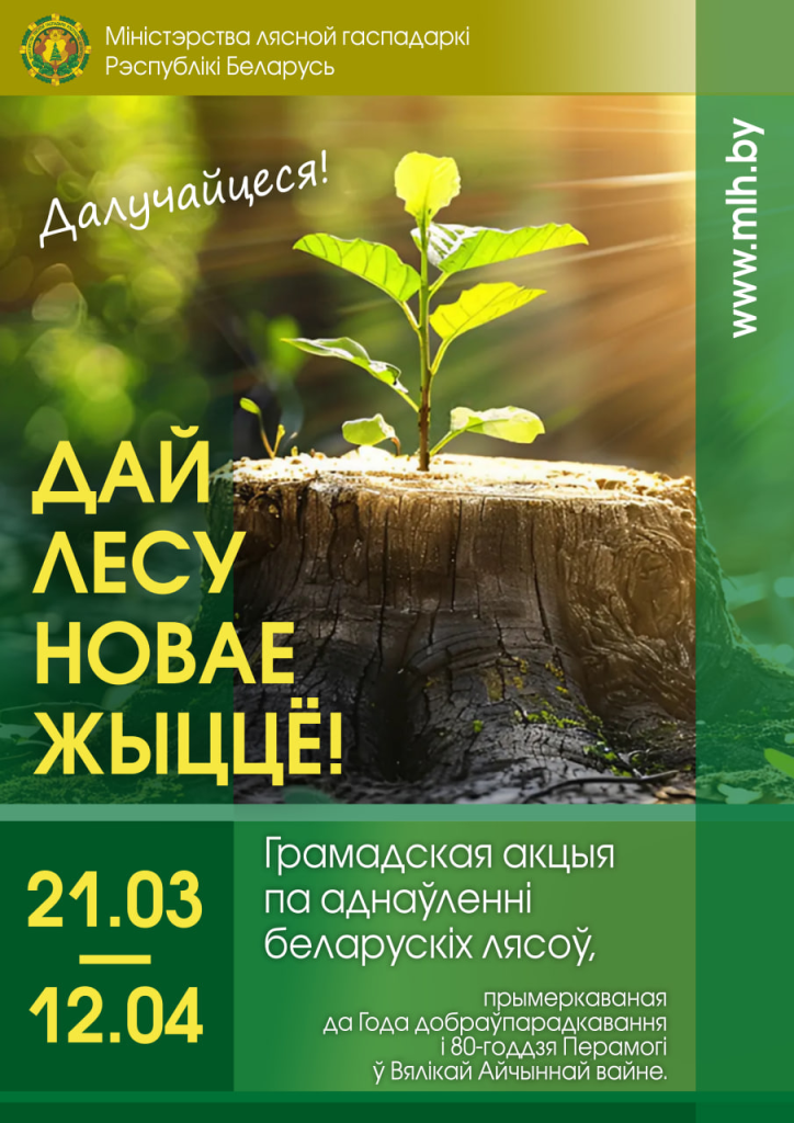 Дай лесу новае жыццё!