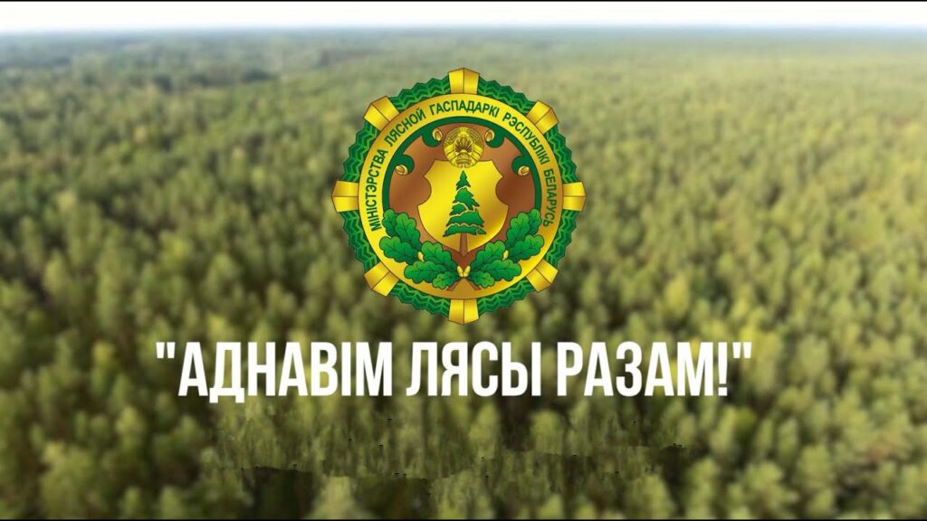 Дай лесу новае жыццё!