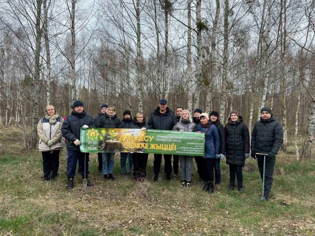 Прокуратура Пинска участвует в акции по восстановлению лесов в честь 80-летия Победы