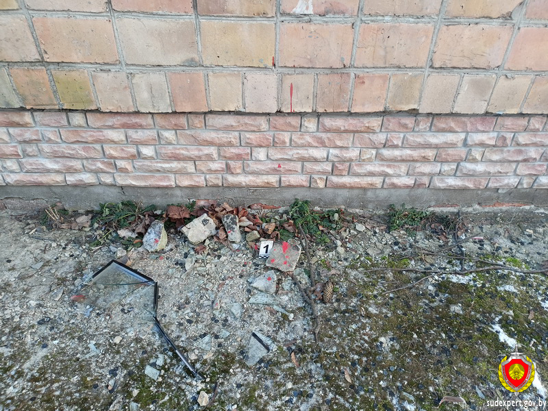 В Пинске злоумышленника установили по капле крови, обнаруженной на месте происшествия