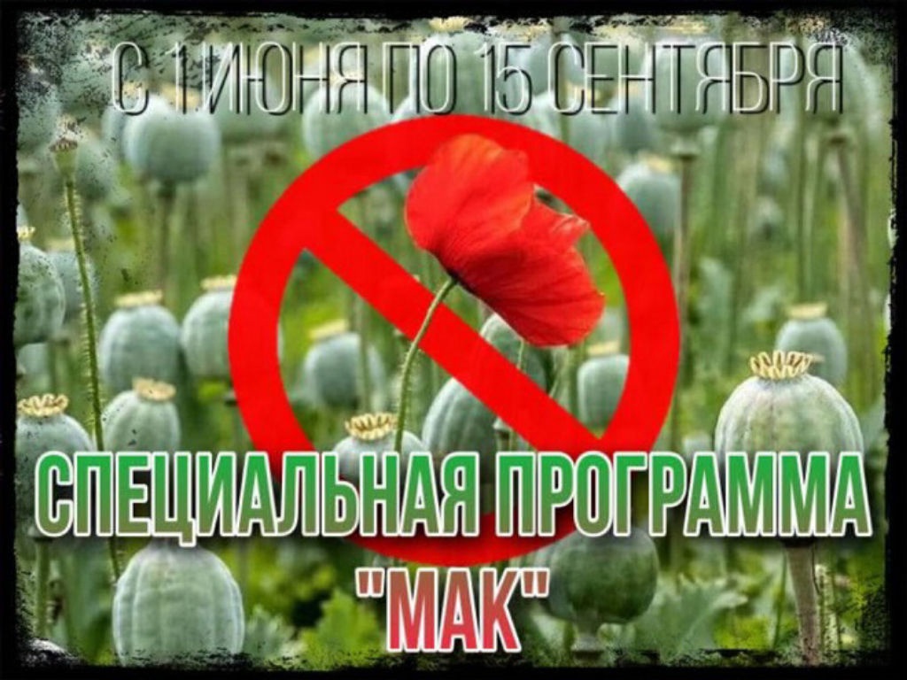 С 1 июня в Брестской области стартует специальная программа «Мак»