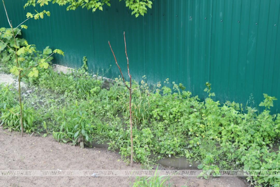 Всемирный потоп в масштабах нескольких домов