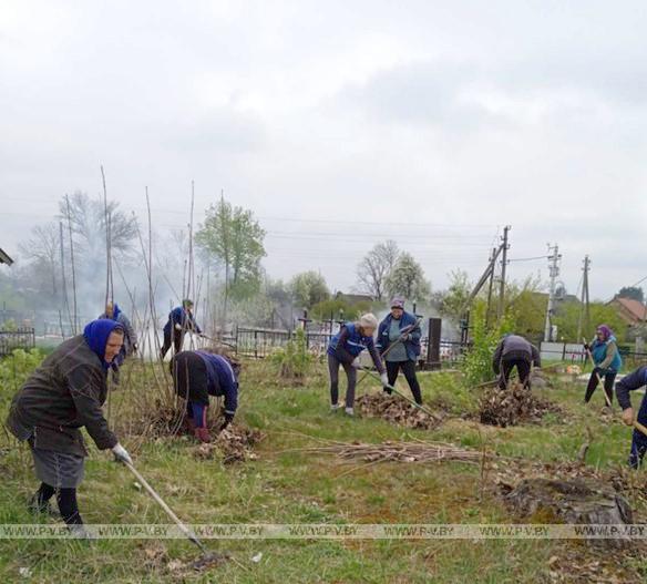 Староста деревни Клетная Нина Борищук – одна из лучших в Брестской области