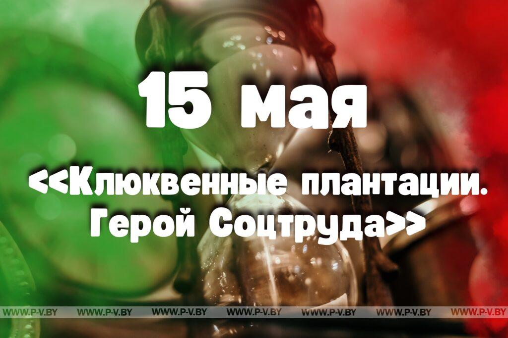 15 мая: «Клюквенные плантации. Герой Соцтруда»