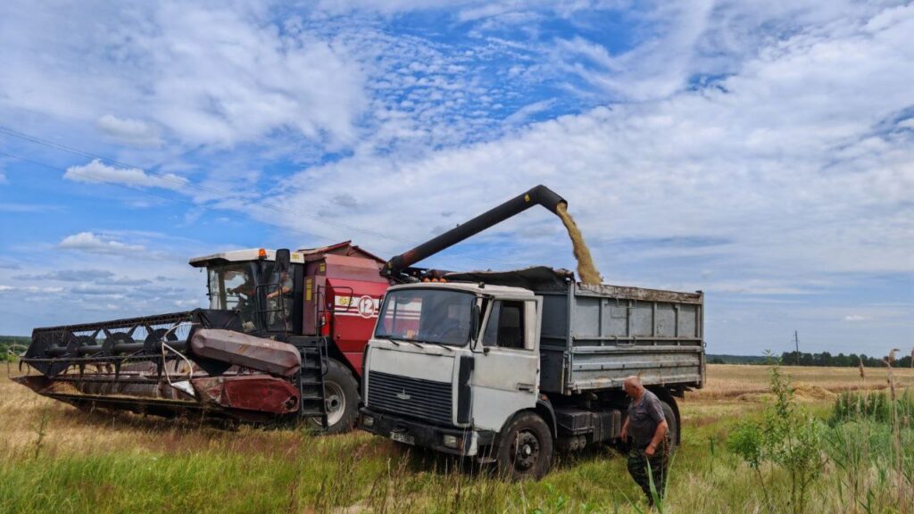 В Пинском районе началась жатва, но пока не массово