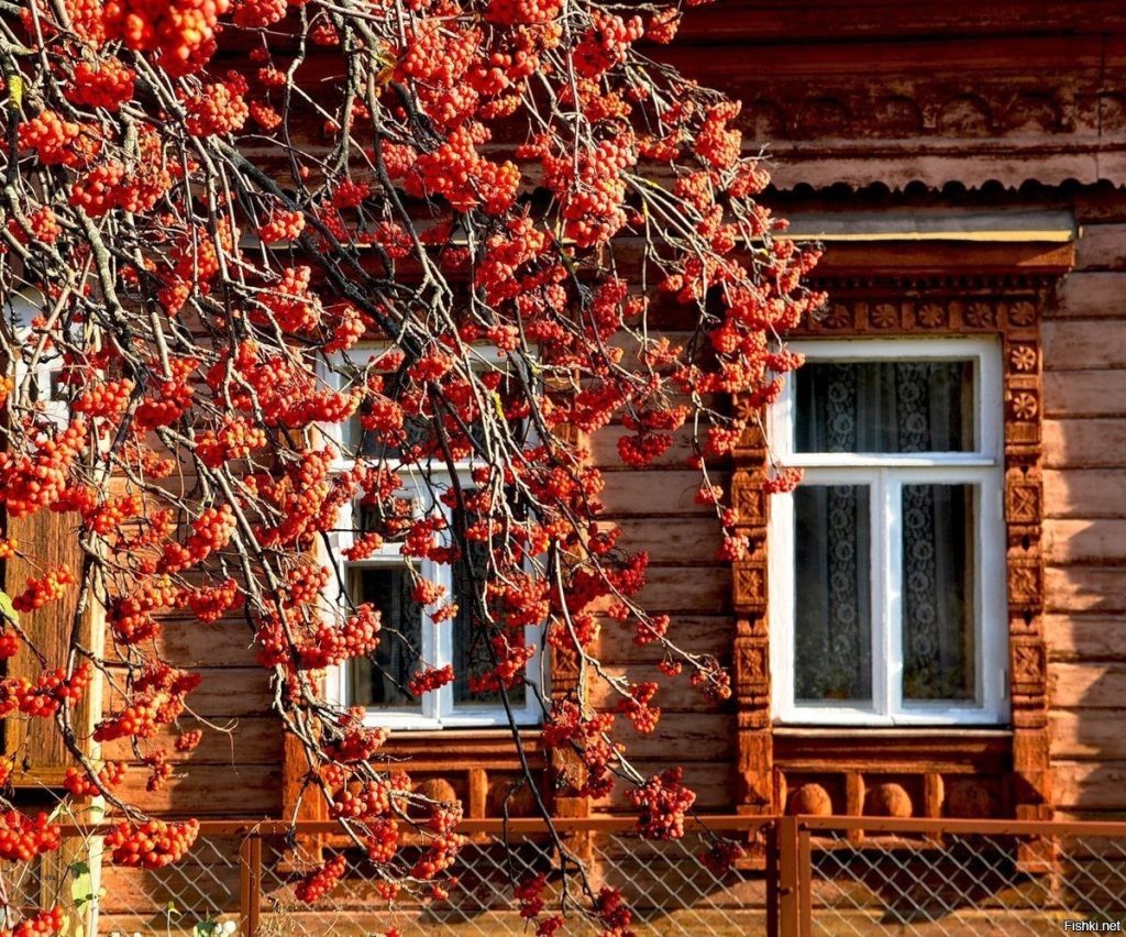 Народны каляндар: кастрычнік землю балоціць, а лес залоціць
