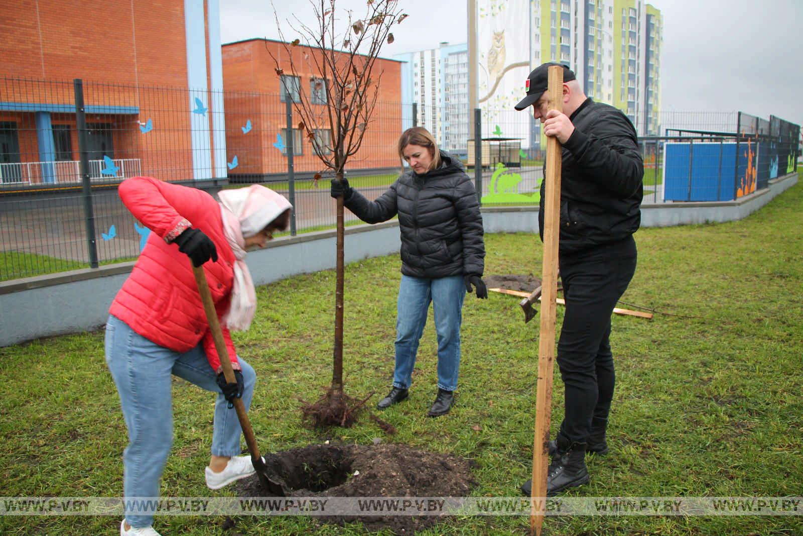 На республиканском субботнике высаживали деревья и убирали территории