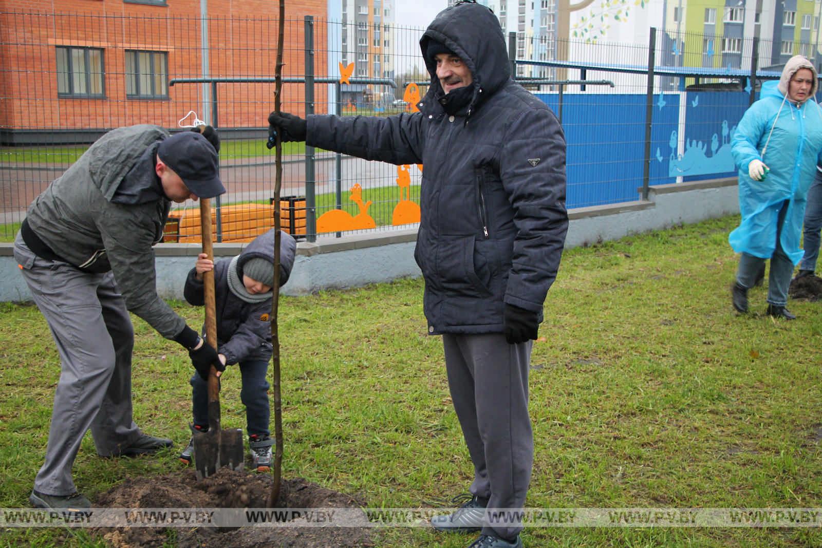 На республиканском субботнике высаживали деревья и убирали территории