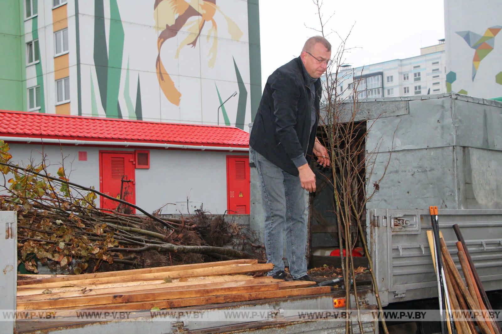 На республиканском субботнике высаживали деревья и убирали территории