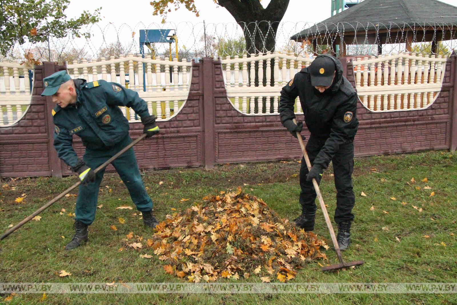 На республиканском субботнике высаживали деревья и убирали территории