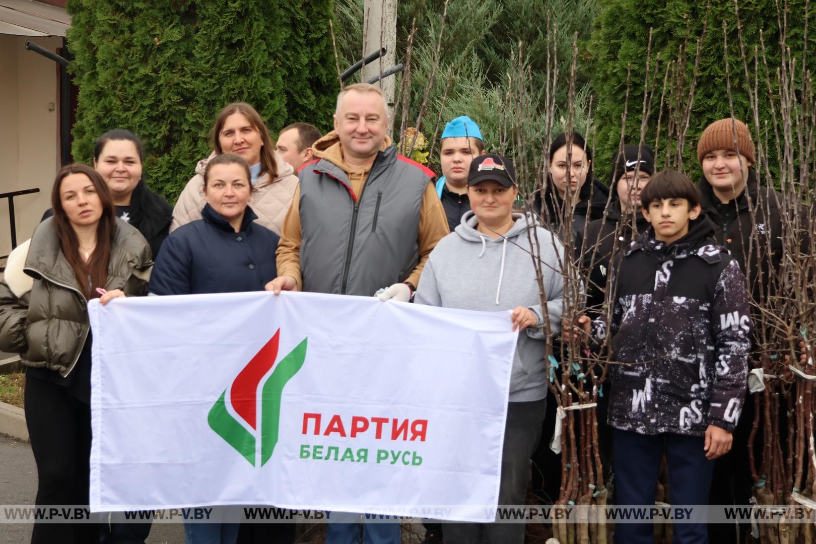 Яблоневый сад для постояльцев «Пины»