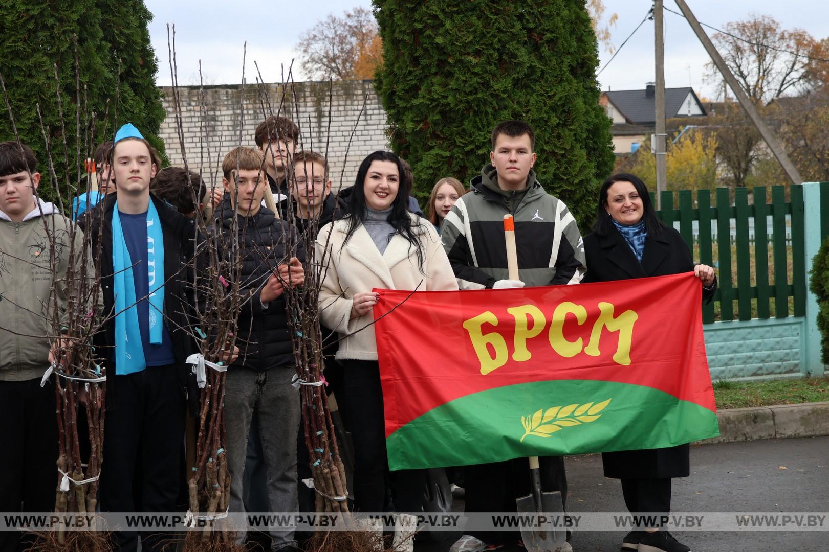 Яблоневый сад для постояльцев «Пины»