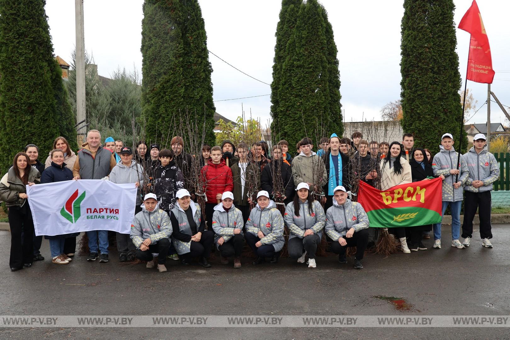 Яблоневый сад для постояльцев «Пины»