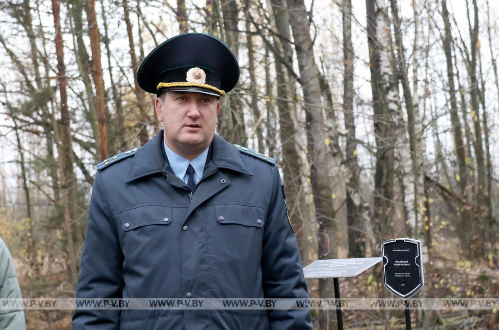 В деревне Малая Плотница обновили памятник убитым фашистами матери и младенцу