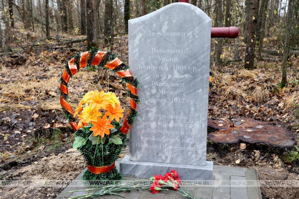 В деревне Малая Плотница обновили памятник убитым фашистами матери и младенцу