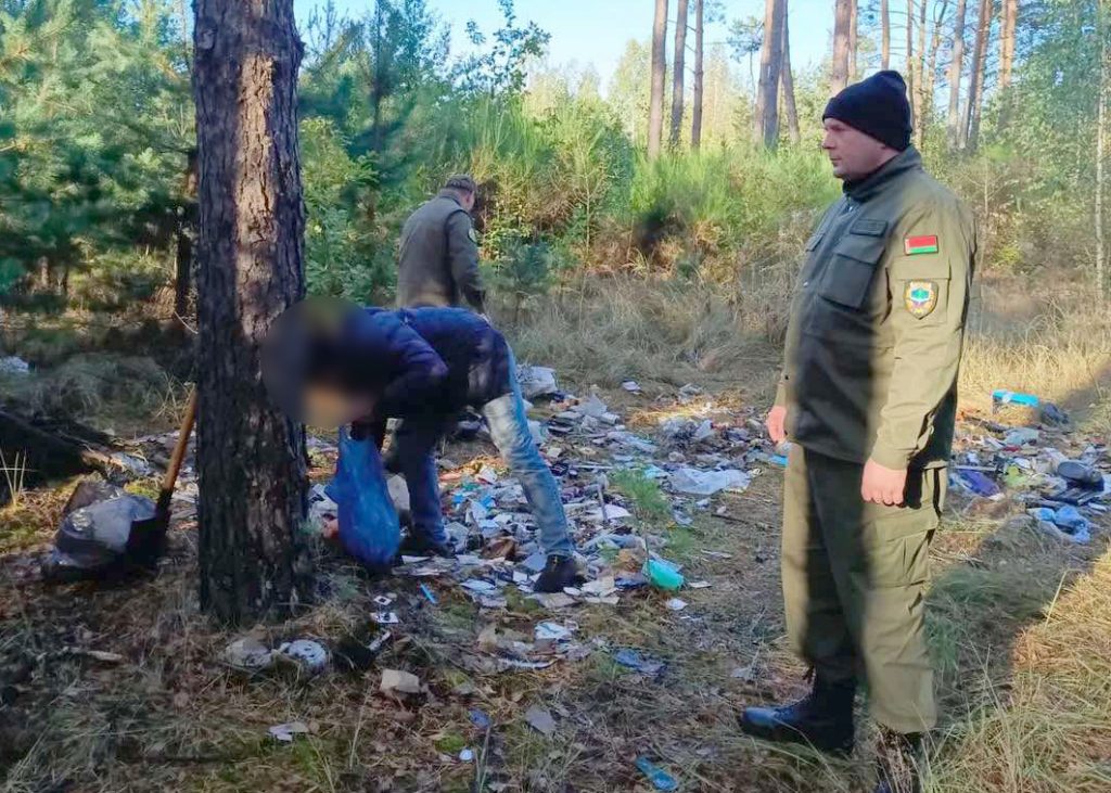 Вываливший мусор в лесу в Пинском районе найден и оштрафован