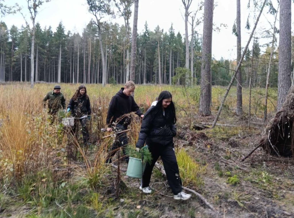 Учащиеся Погост-Загородской СШ приняли участие в экологической акции «Дай лесу новае жыццё!»