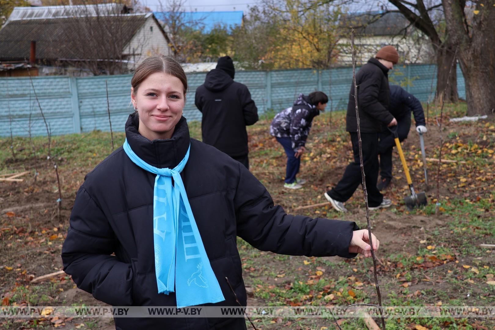 Яблоневый сад для постояльцев «Пины»