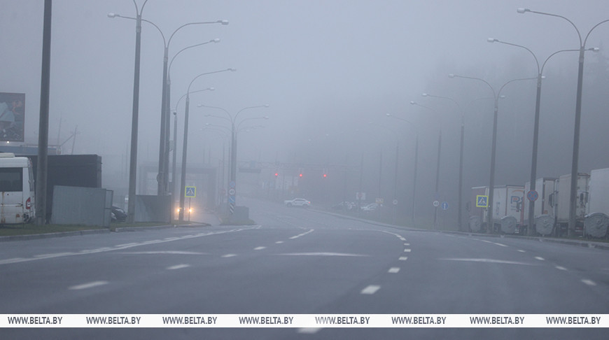 ГТК: литовские фуры смогут покинуть стоянки после открытия Литвой границы