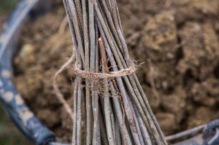Чем заняться дачнику в ноябре