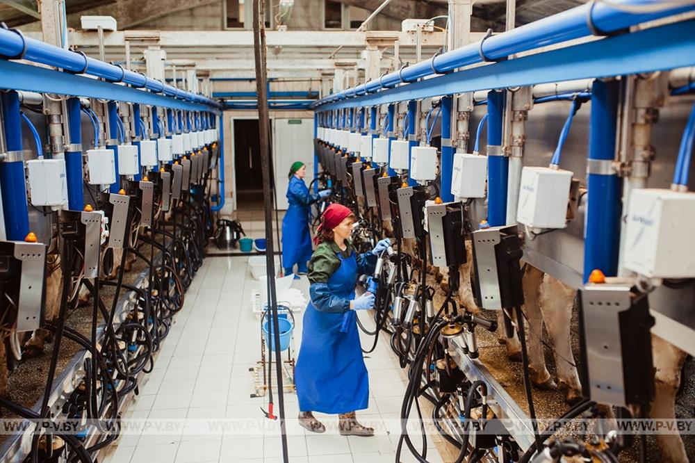 В Пинском районе подводят итоги аграрного сезона-2025: цифры и факты