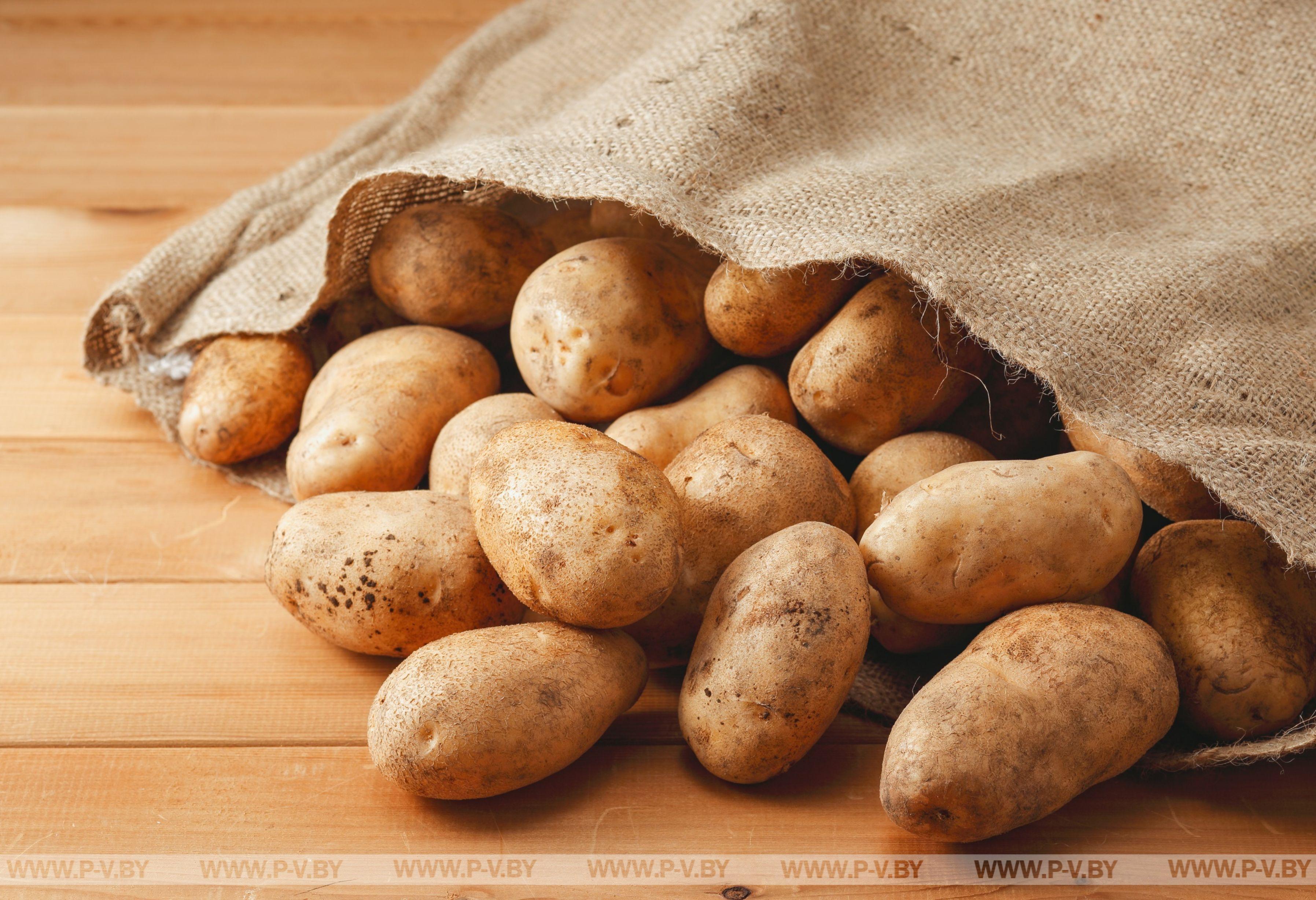 Новые торговые нормы на картофель