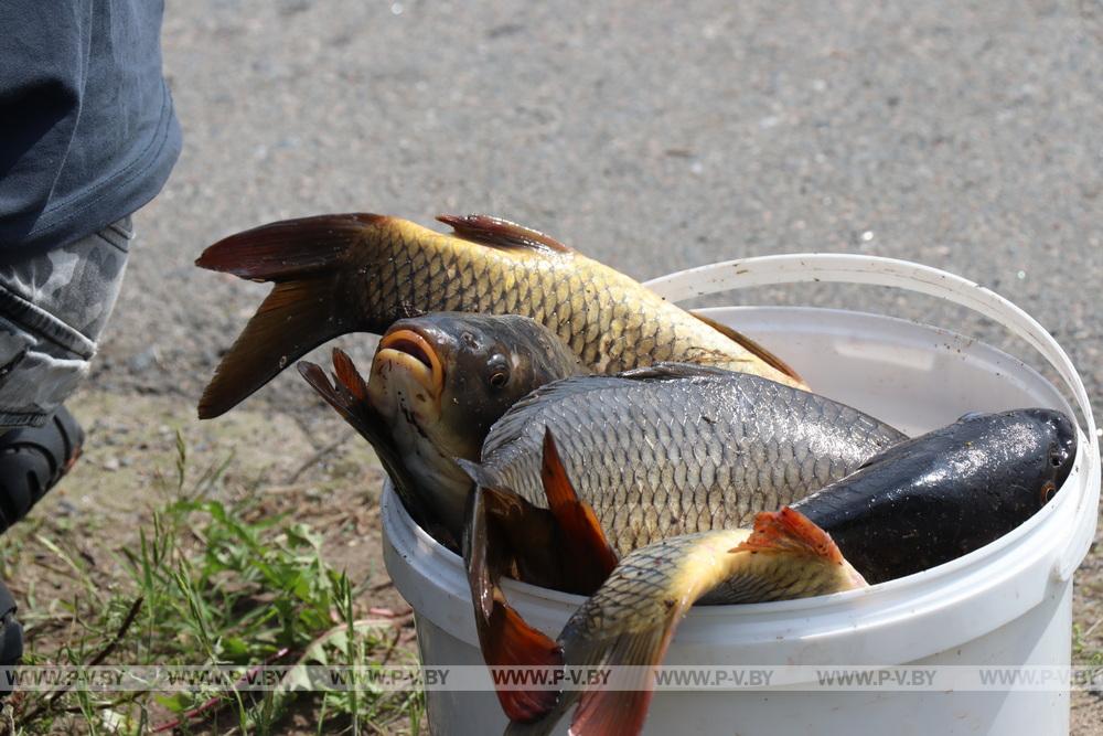 В Пинском районе подводят итоги аграрного сезона-2025: цифры и факты