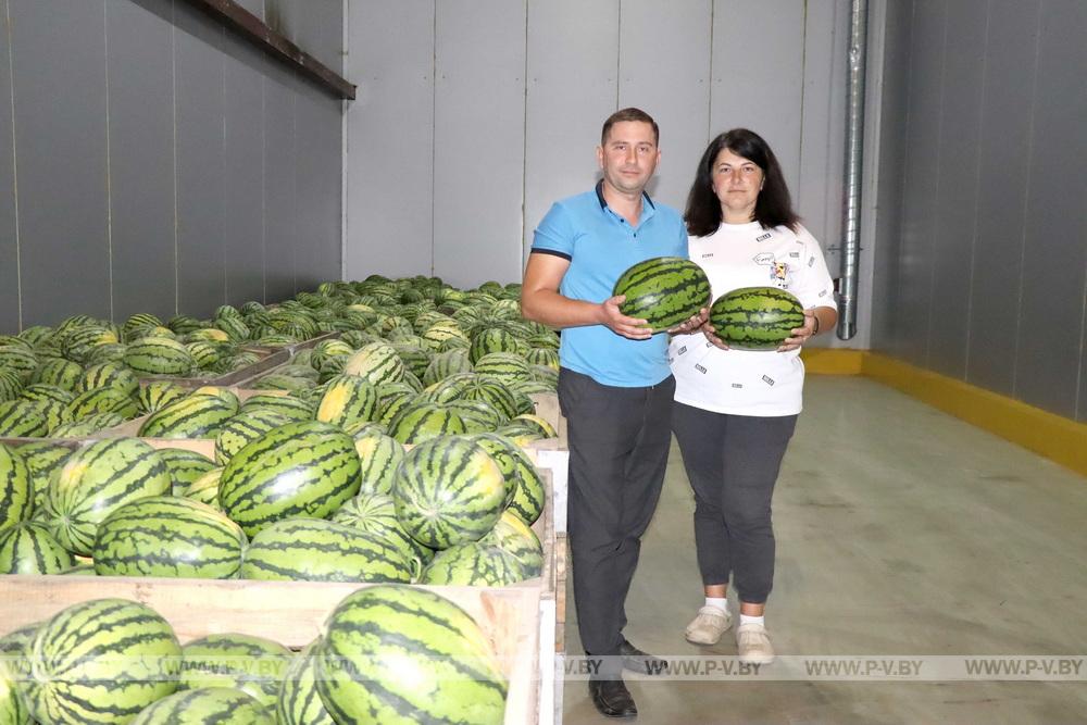 В Пинском районе подводят итоги аграрного сезона-2025: цифры и факты