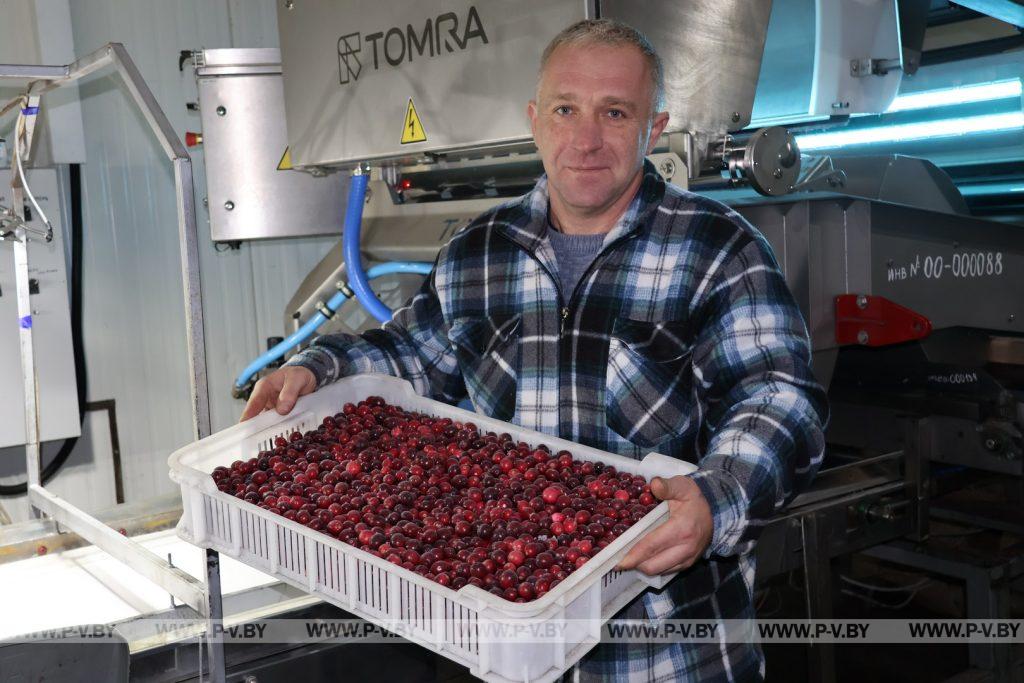 За кулисами холода или Человек, от которого зависит успех предприятия