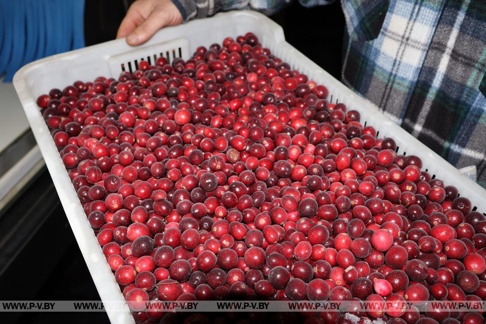 За кулисами холода или Человек, от которого зависит успех предприятия