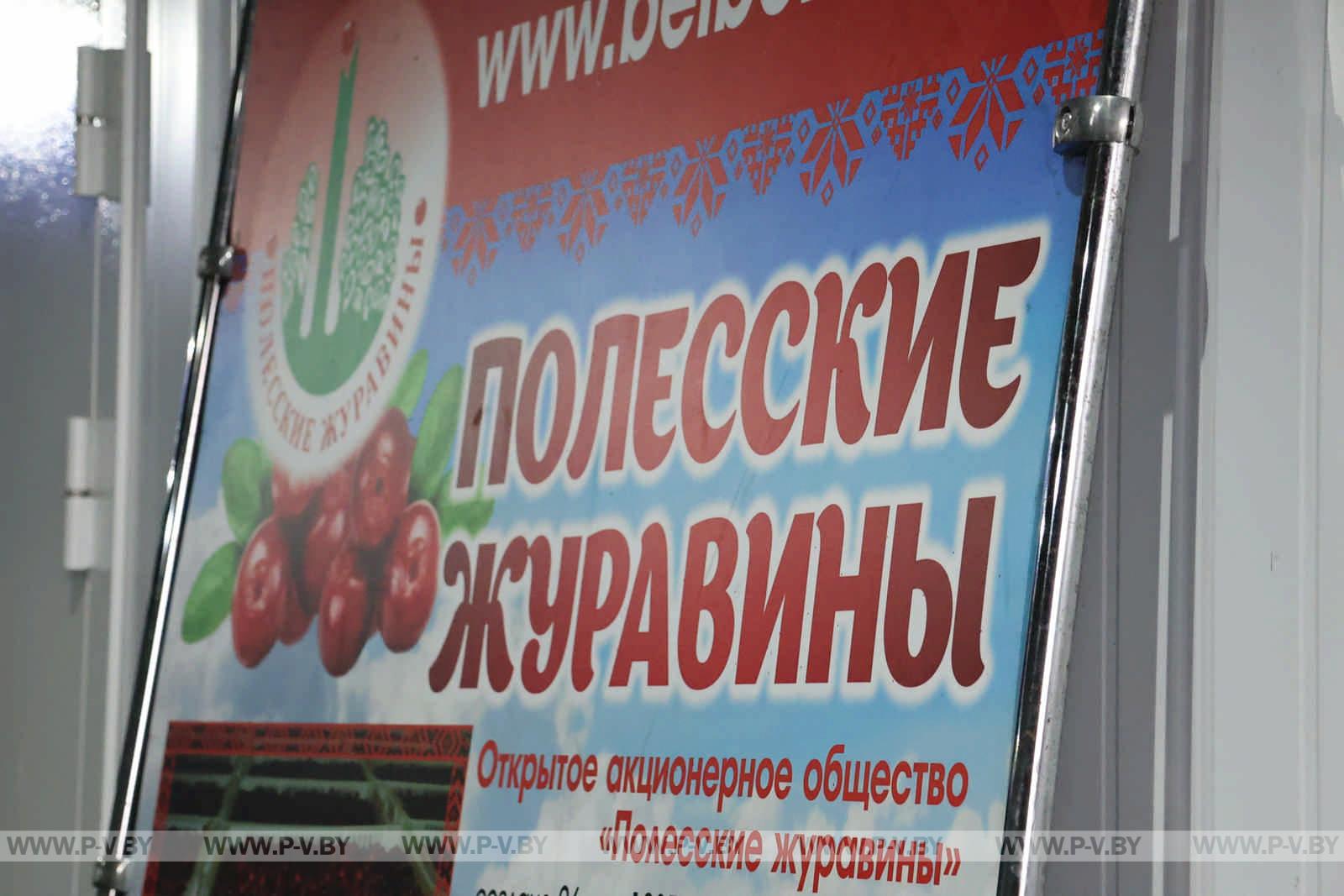 Полесская мозаика: как блогеры открывали для себя Пинщину