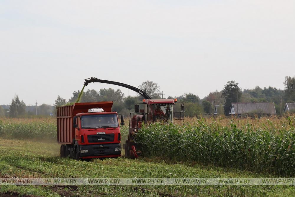 В Пинском районе названы победители на кормозаготовке-2025